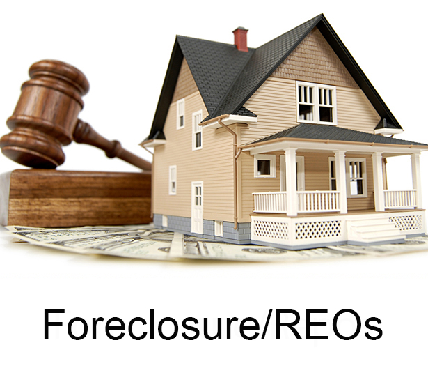 Foreclosure/REOs Link